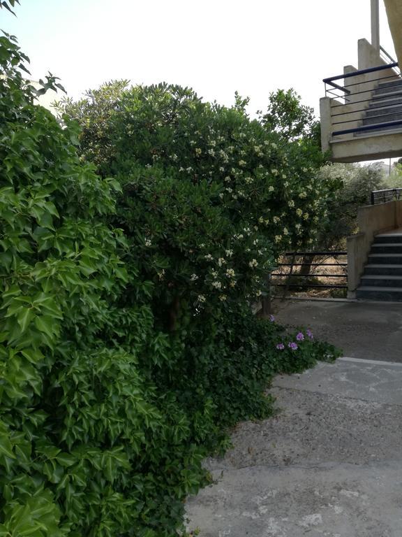 Pericles Studios Agia Marina  Exterior photo